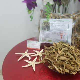 Trinh Nữ Hoàng Cung