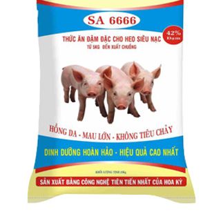 Bao BOPP đựng thức ăn gia súc gia cầm cao cấp