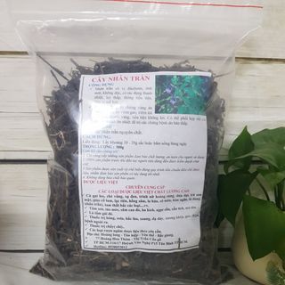 Trà nhân trần thanh nhiệt giải độc
