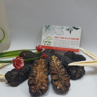 Trái Nhàu Khô