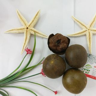 Quả La Hán