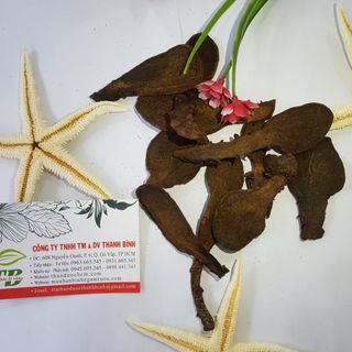 Nấm Ngọc Cẩu