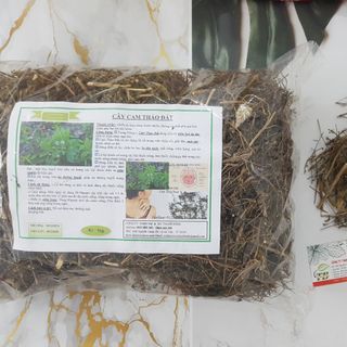 Cây Cam Thảo Đất (Cam Thảo Nam)