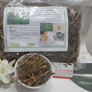 Cây Cam Thảo Đất (Cam Thảo Nam)