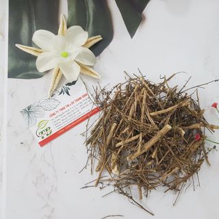 Cây Cam Thảo Đất (Cam Thảo Nam)