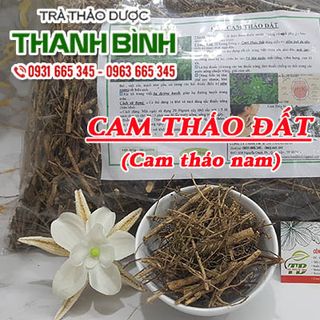 Cây Cam Thảo Đất (Cam Thảo Nam)