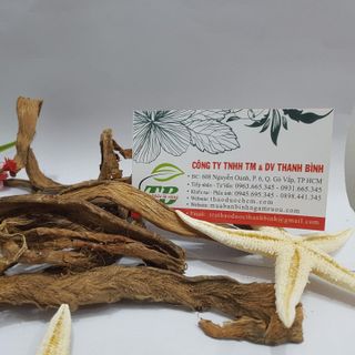 Cây Thiên Niên Kiện
