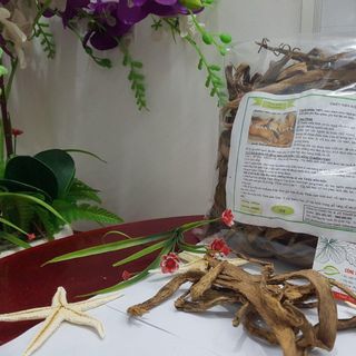 Cây Thiên Niên Kiện