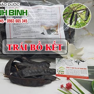 Trái Bồ Kết
