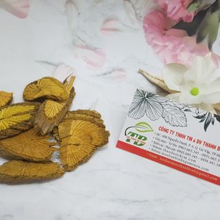 Cây Vàng Đắng