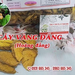 Cây Vàng Đắng