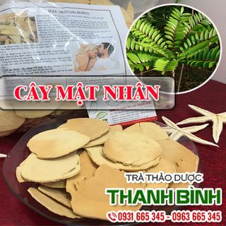 Cây Mật Nhân