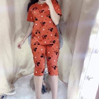Bộ coton mã 9872342