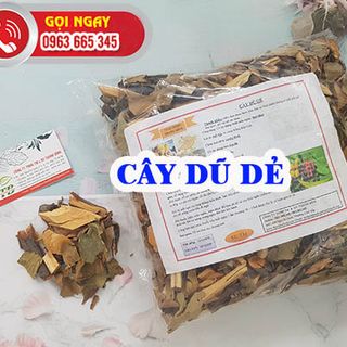 Cây Dũ Dẻ