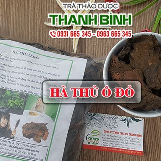 Cây Hà Thủ Ô Đỏ