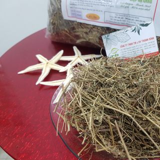 Diệp Hạ Châu