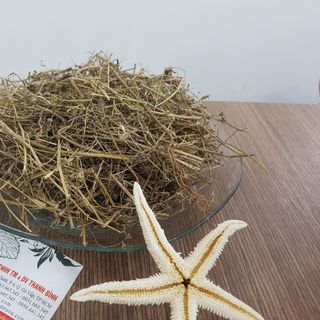 Diệp Hạ Châu