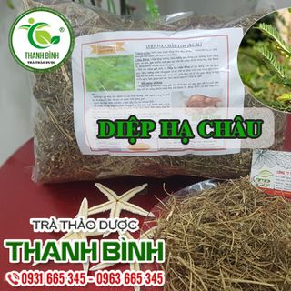 Diệp Hạ Châu