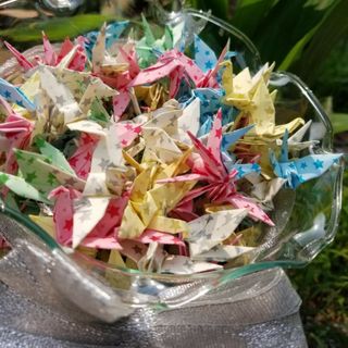 Lọ thủy tinh miệng bèo nhỡ đựng sao hạc