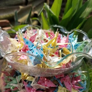 Lọ thủy tinh miệng bèo nhỡ đựng sao hạc
