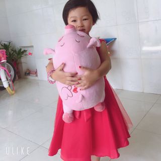 HEO MẮT HÍ 40CM