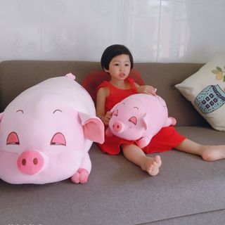HEO MẮT HÍ 40CM