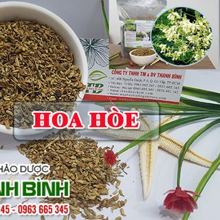 Hoa Hòe giá sỉ