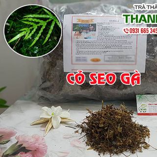 Cây Cỏ Seo Gà