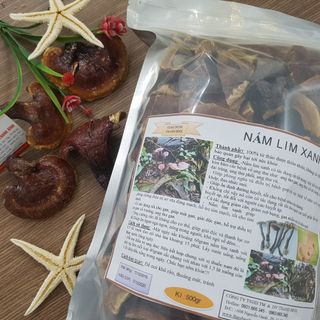 Nấm Lim Xanh Rừng