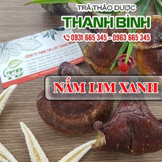 Nấm Lim Xanh Rừng
