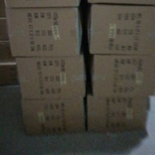 Cá bơi dây cót trẻ em