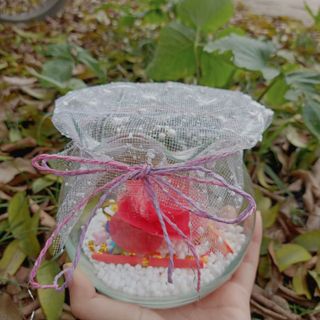 Lọ thuỷ tinh miệng bèo nhỏ đựng sao,hạc