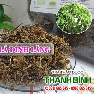 Lá Đinh Lăng