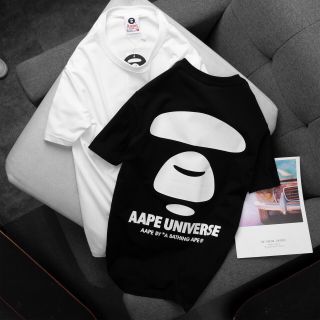 Áo thun nam hàng cao cấp