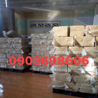 HẠT ĐIỀU NHÂN TRẮNG NGUYÊN HẠT BÌNH PHƯỚC-ĐIỀU TƯƠI