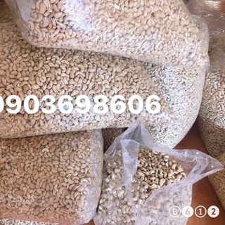 HẠT ĐIỀU NHÂN TRẮNG NGUYÊN HẠT BÌNH PHƯỚC-ĐIỀU TƯƠI