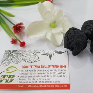 Thục Địa