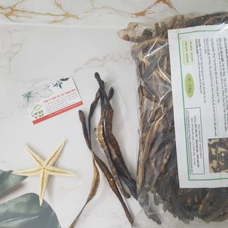 Địa Long ( Giun Đất )