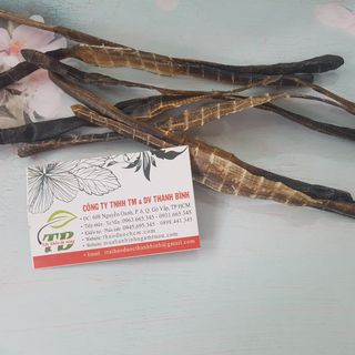 Địa Long ( Giun Đất )