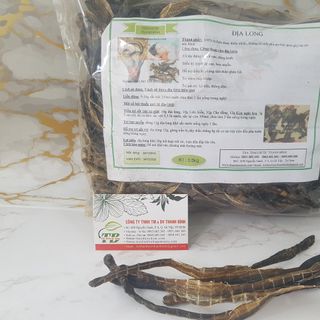Địa Long ( Giun Đất )