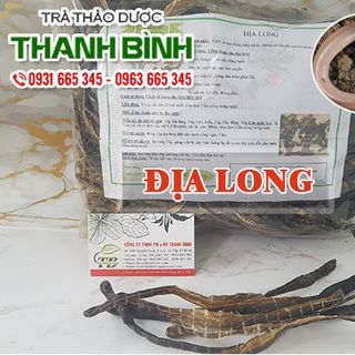 Địa Long ( Giun Đất )