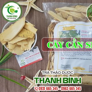 Cây Cần Sen