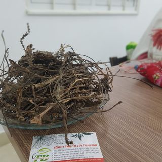 Cây Mã Đề