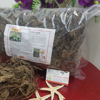 Cây Mã Đề
