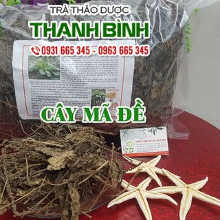 Cây Mã Đề