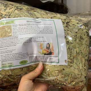 Phan Tả Diệp