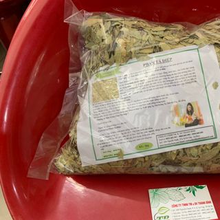 Phan Tả Diệp