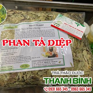 Phan Tả Diệp