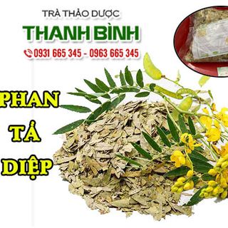 Phan Tả Diệp