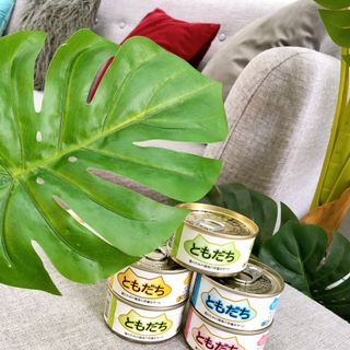 PATE MÈO NHẬT (Cá ngừ/Cá ngừ mix gà/hairball/axit hữu cơ)